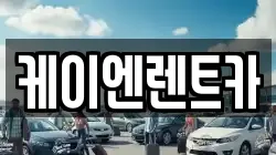 케이엔렌트카