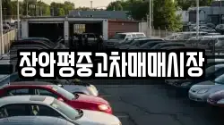 장안평중고차매매시장