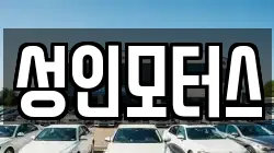 성인모터스
