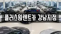 서울특별시 서초구 서초동 렌트카,단기렌트카,장기렌트카,중고차,중고차매매,중고차매입