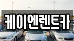 서울특별시 서초구 염곡동 렌트카,단기렌트카,장기렌트카,중고차,중고차매매,중고차매입