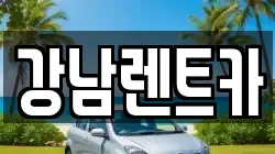 서울특별시 서초구 우면동 렌트카,단기렌트카,장기렌트카,중고차,중고차매매,중고차매입