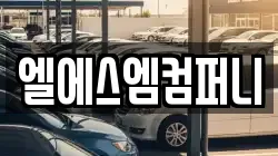 엘에스엠컴퍼니