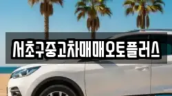 서초구중고차매매오토플러스