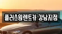 플러스원렌트카 강남지점