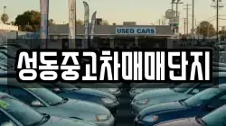 성동중고차매매단지