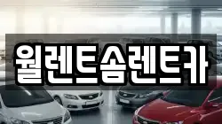 월렌트솜렌트카