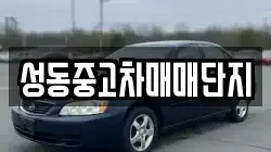 성동중고차매매단지