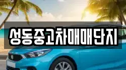 성동중고차매매단지