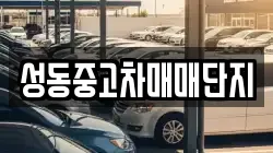 성동중고차매매단지