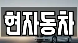 현자동차
