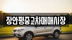 장안평중고차매매시장