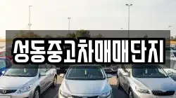 성동중고차매매단지