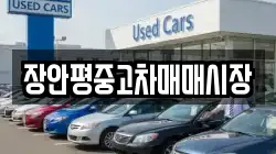 장안평중고차매매시장