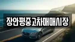 장안평중고차매매시장