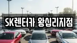 서울특별시 성동구 행당동 렌트카,단기렌트카,장기렌트카,중고차,중고차매매,중고차매입