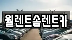 월렌트솜렌트카