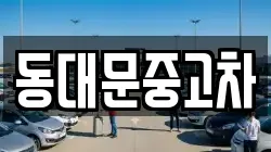 동대문중고차