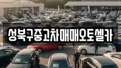 성북구중고차매매오토셀카