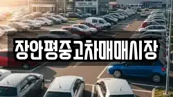 장안평중고차매매시장