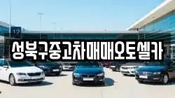 성북구중고차매매오토셀카
