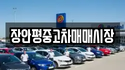 장안평중고차매매시장