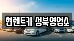 서울특별시 성북구 동소문동2가 렌트카,단기렌트카,장기렌트카,중고차,중고차매매,중고차매입