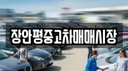 장안평중고차매매시장