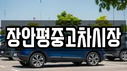 장안평중고차시장