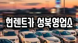 서울특별시 성북구 동소문동4가 렌트카,단기렌트카,장기렌트카,중고차,중고차매매,중고차매입