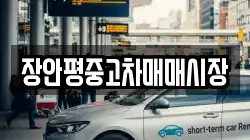 장안평중고차매매시장