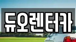 듀오렌터카