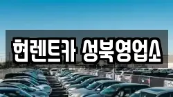 서울특별시 성북구 보문동2가 렌트카,단기렌트카,장기렌트카,중고차,중고차매매,중고차매입