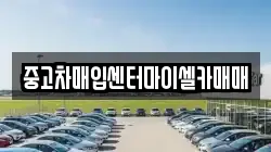 중고차매입센터마이셀카매매