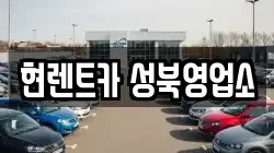 현렌트카 성북영업소