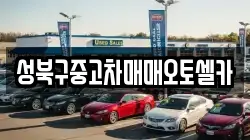 성북구중고차매매오토셀카