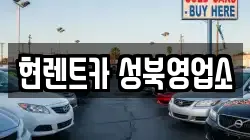서울특별시 성북구 보문동7가 렌트카,단기렌트카,장기렌트카,중고차,중고차매매,중고차매입