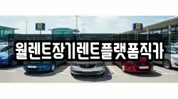 월렌트장기렌트플랫폼직카