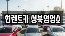 서울특별시 성북구 삼선동5가 렌트카,단기렌트카,장기렌트카,중고차,중고차매매,중고차매입