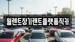 월렌트장기렌트플랫폼직카