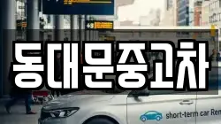 동대문중고차