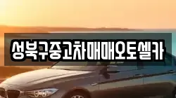 성북구중고차매매오토셀카