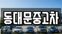 동대문중고차