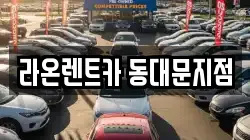라온렌트카 동대문지점