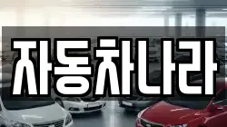자동차나라