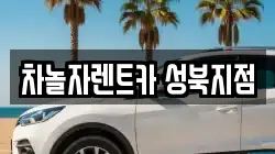 차놀자렌트카 성북지점