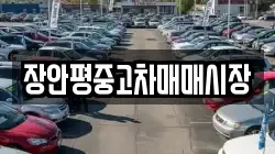장안평중고차매매시장