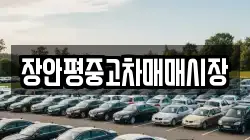 장안평중고차매매시장