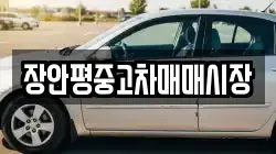 장안평중고차매매시장