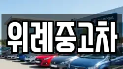 위례중고차